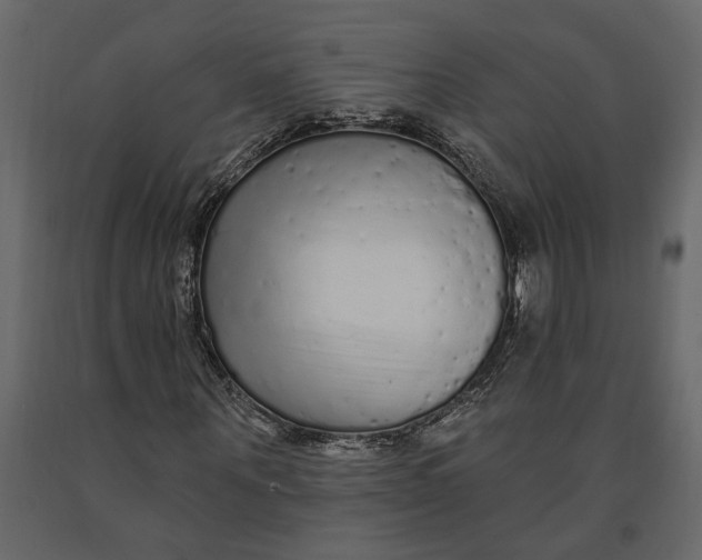 X0000091090867200708271254