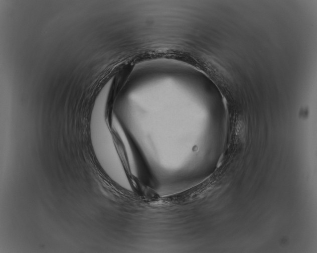 X0000091090868200708271254