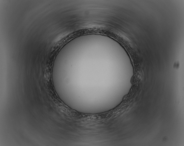 X0000091090869200708271254