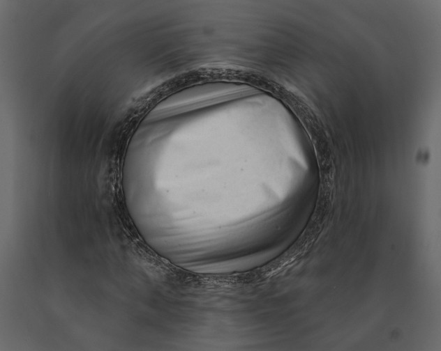 X0000091090870200708271254