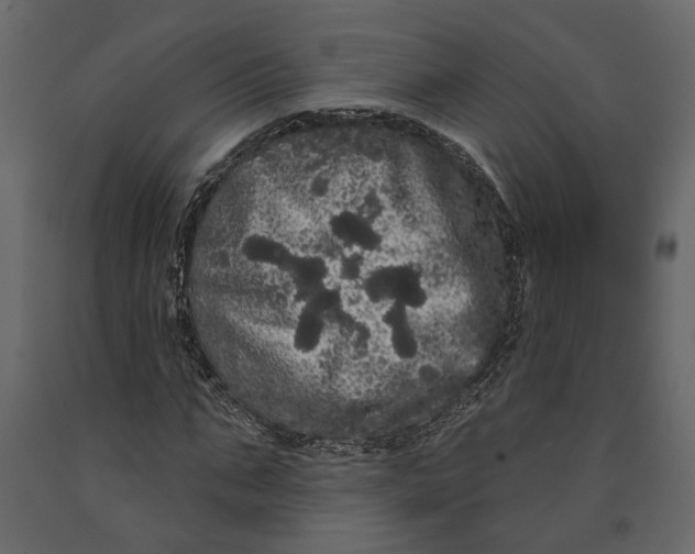 X0000091090871200708271254