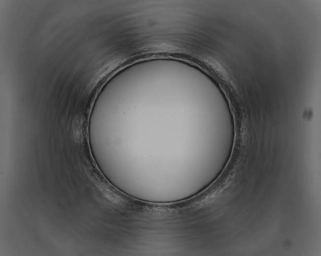 X0000091090873200708271254