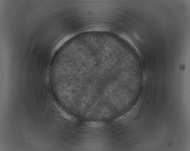 X0000091090874200708271254