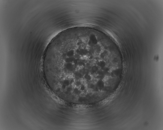 X0000091090875200708271254