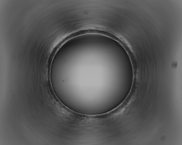 X0000091090877200708271254