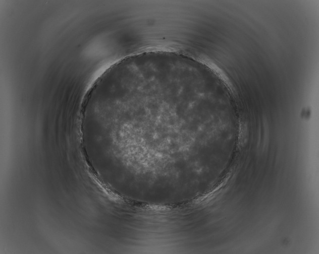 X0000091090878200708271254