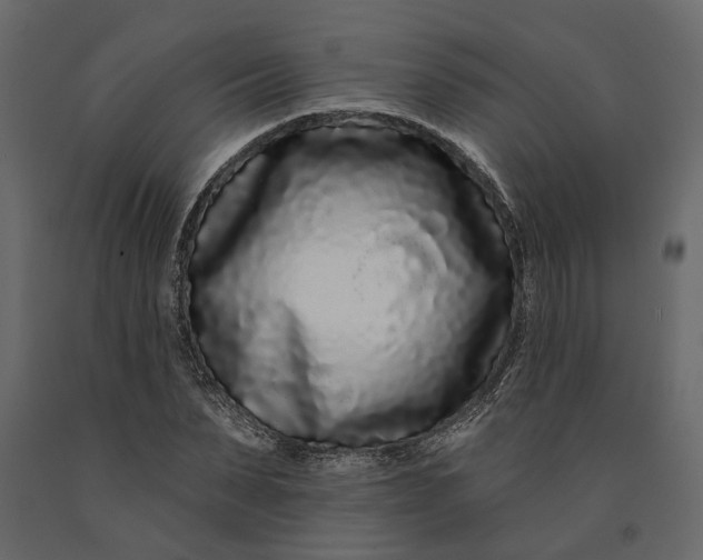 X0000091090879200708271254