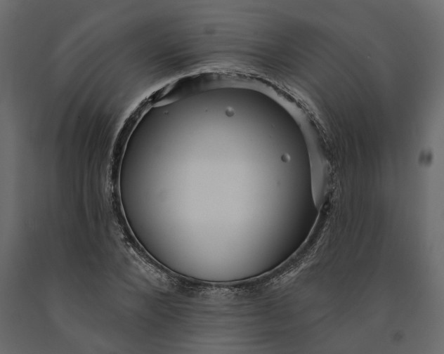 X0000091090880200708271254