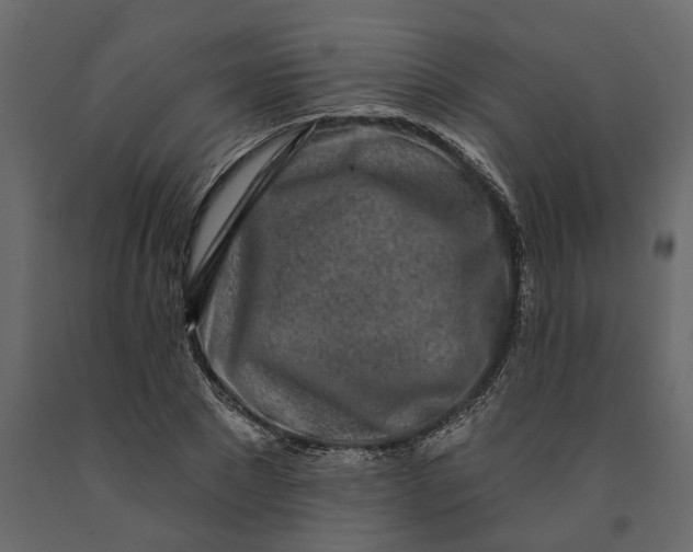 X0000091090881200708271254