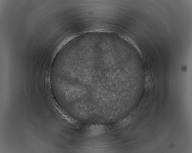 X0000091090882200708271254