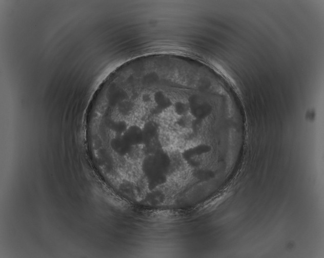 X0000091090883200708271254