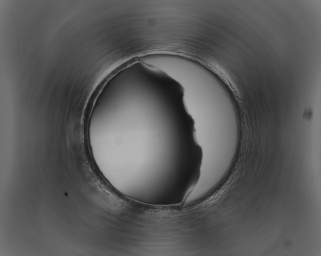 X0000091090884200708271254