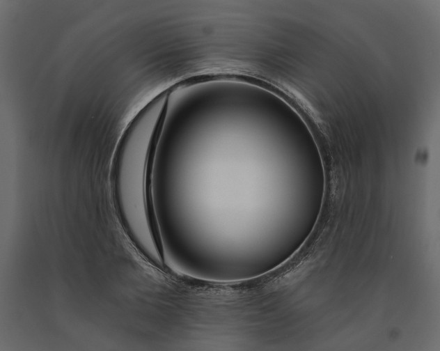 X0000091090885200708271254