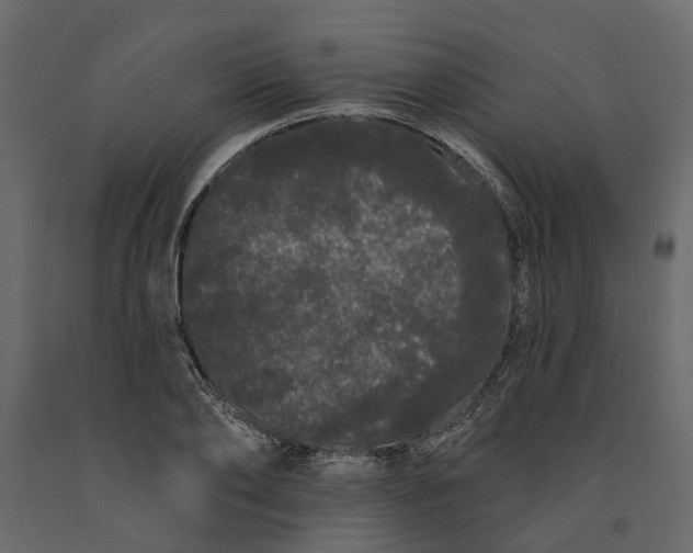 X0000091090886200708271254