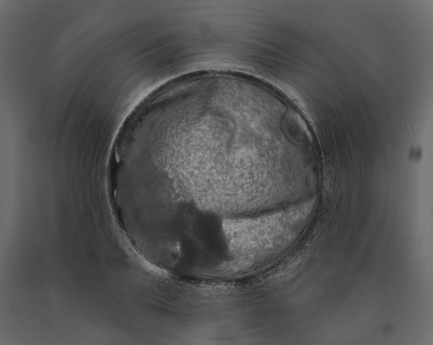 X0000091090887200708271254