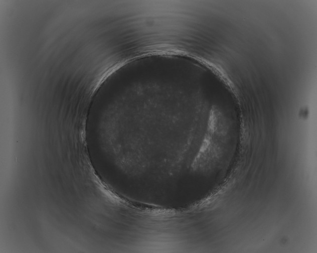 X0000091090889200708271254