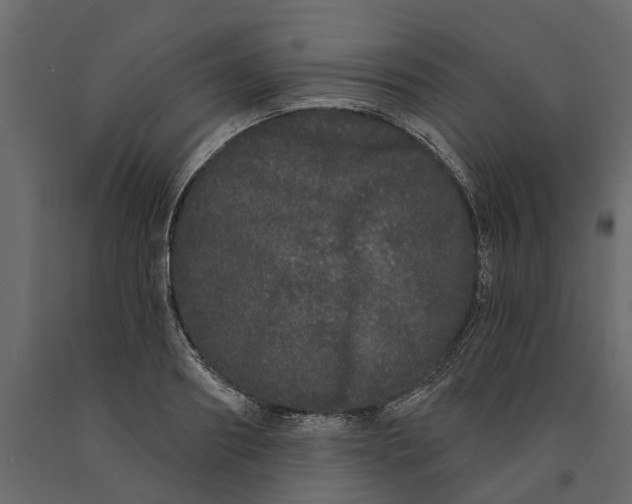 X0000091090890200708271254