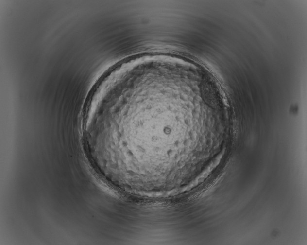 X0000091090891200708271254