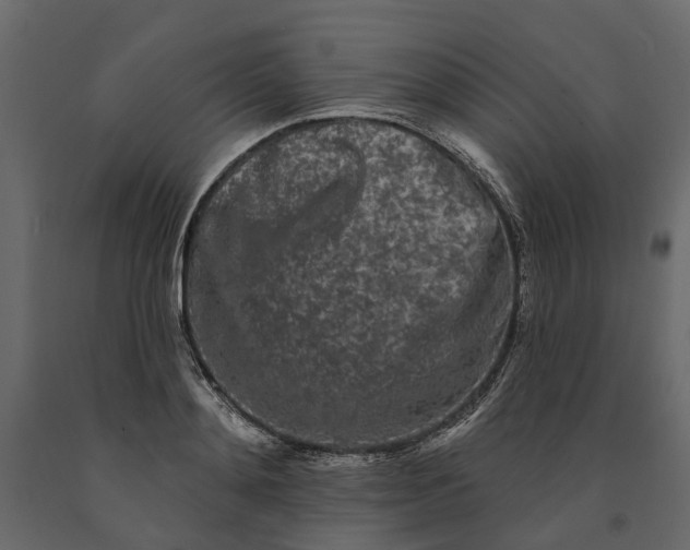 X0000091090892200708271254