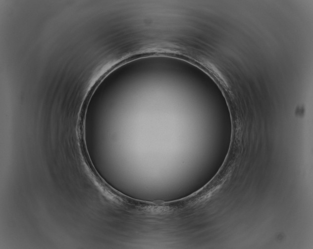 X0000091090893200708271254