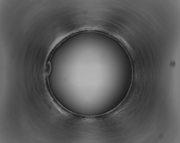 X0000091090894200708271253