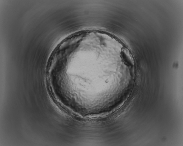 X0000091090895200708271253