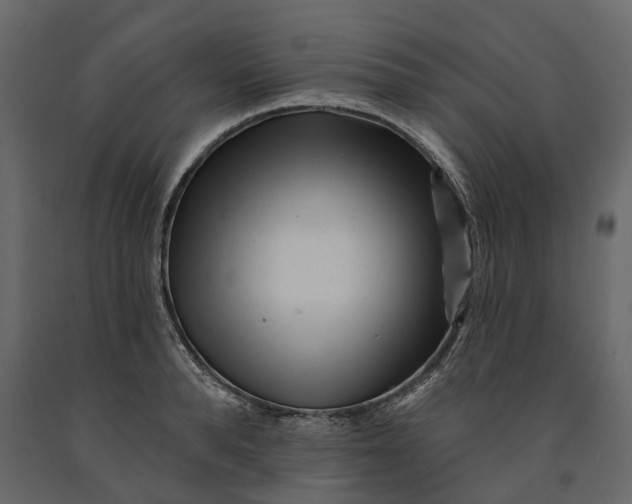 X0000091090896200708271253