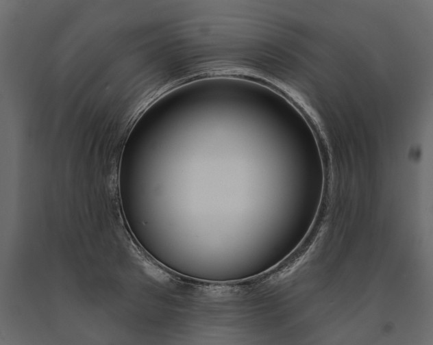 X0000091090897200708271253