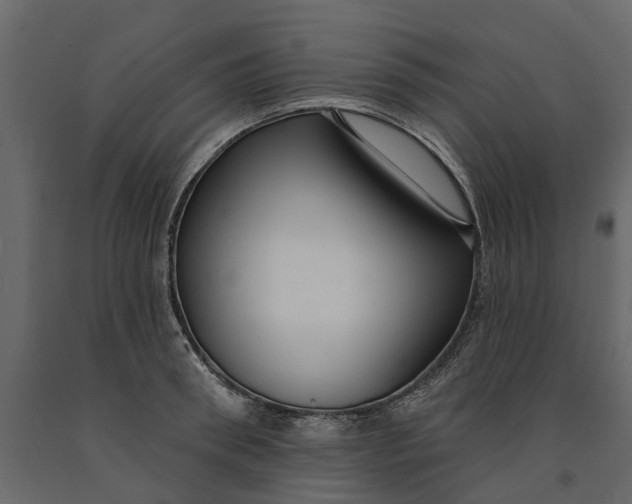 X0000091090898200708271253