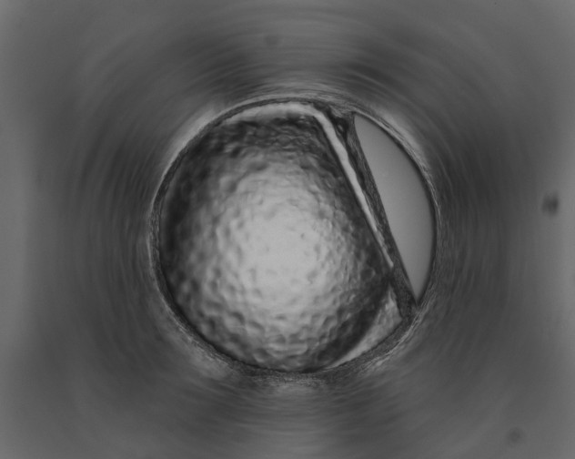 X0000091090899200708271253