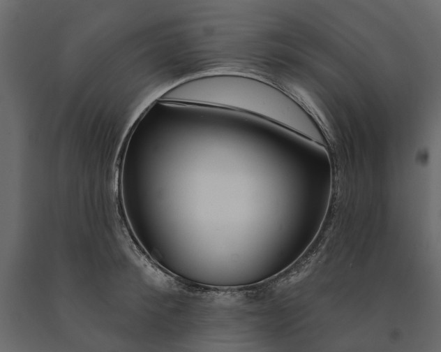 X0000091090900200708271253