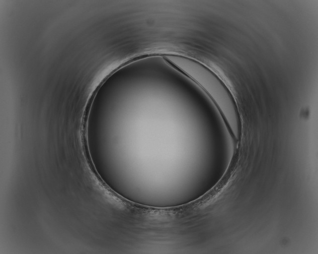 X0000091090901200708271253