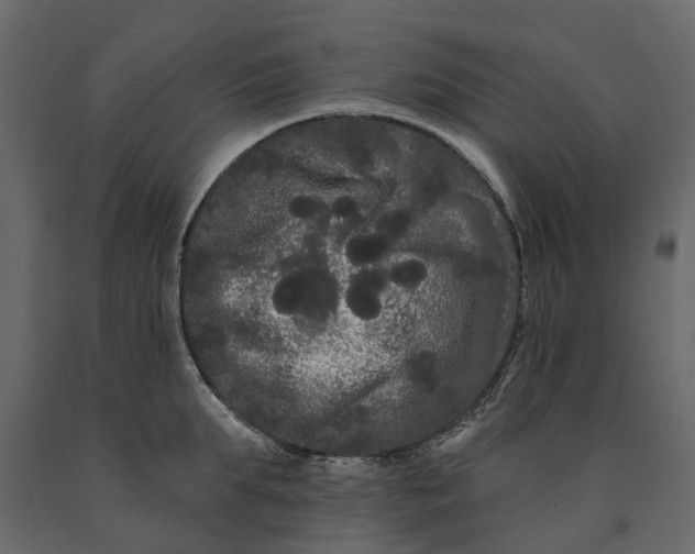 X0000091090903200708271253