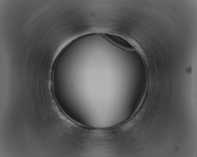 X0000091090904200708271253