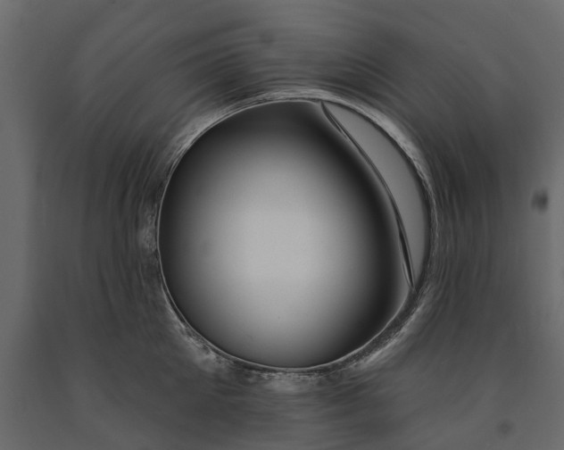 X0000091090905200708271253