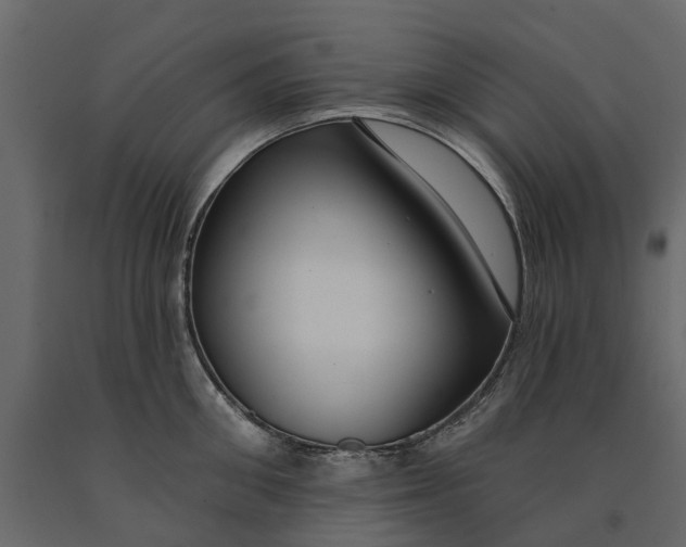 X0000091090906200708271253