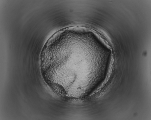 X0000091090907200708271253