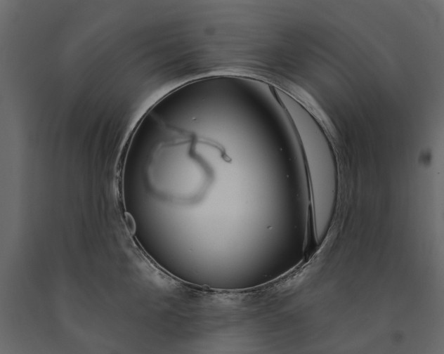 X0000091090908200708271253