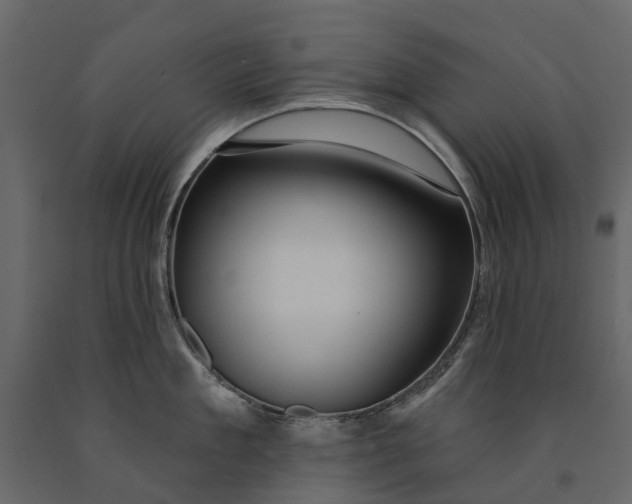 X0000091090909200708271253