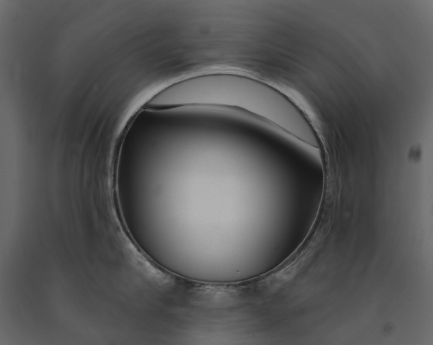 X0000091090910200708271253