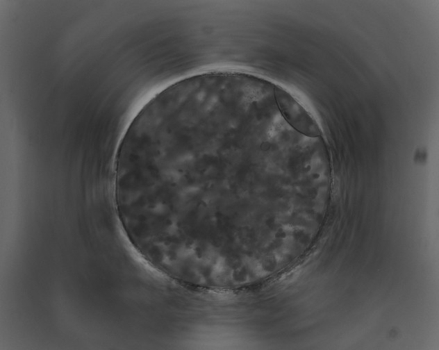 X0000091090911200708271253