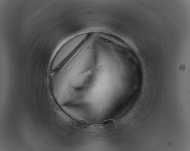 X0000091090912200708271253