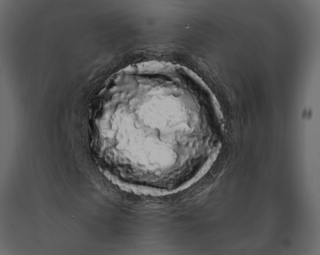 X0000091090913200708271253