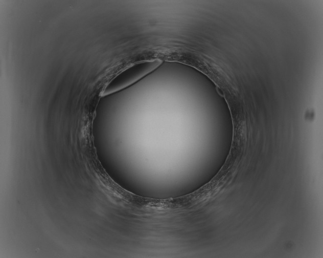 X0000091090914200708271253