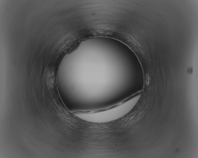 X0000091090915200708271253