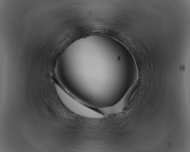 X0000091090916200708271253