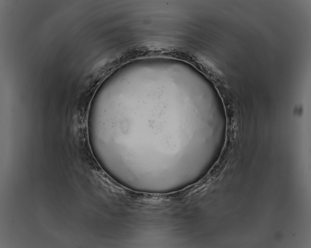 X0000091090917200708271253