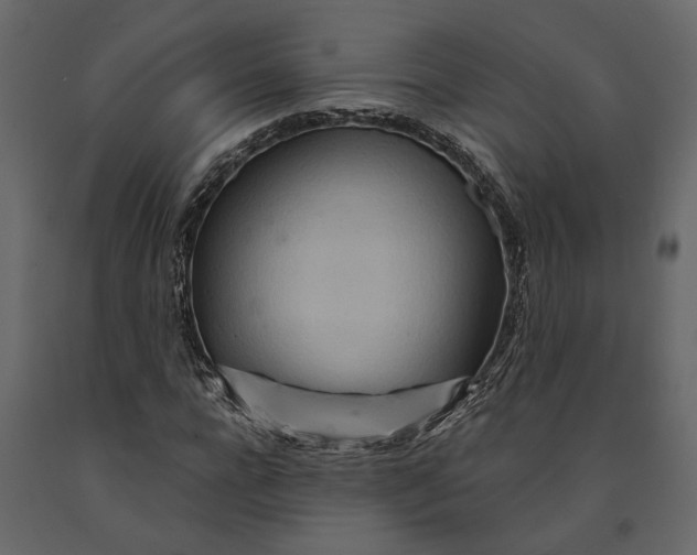 X0000091090920200708271253