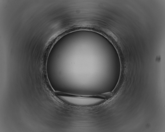 X0000091090922200708271253