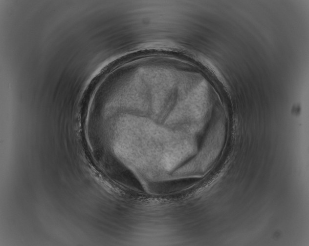 X0000091090923200708271253